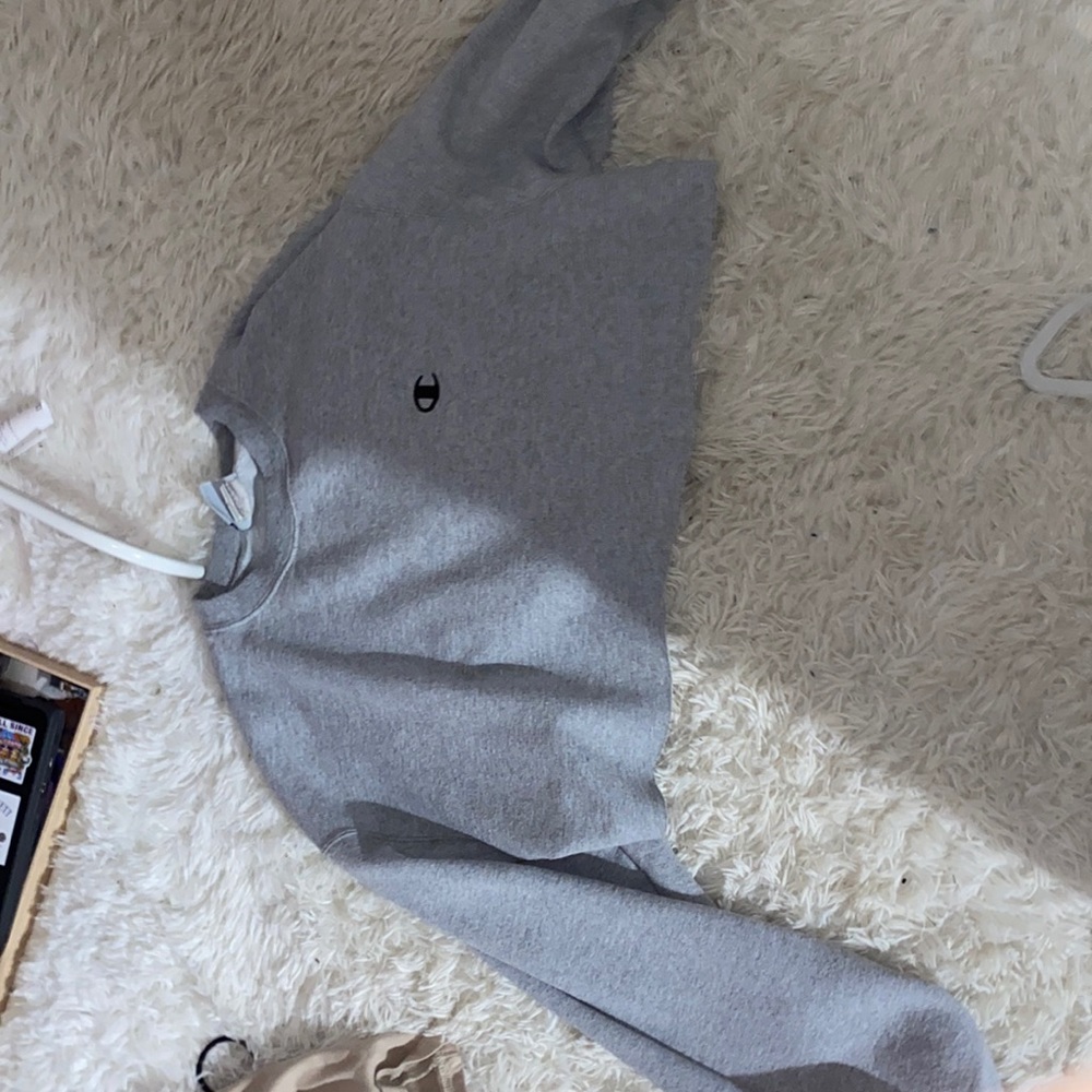grey cropped champion crewneck